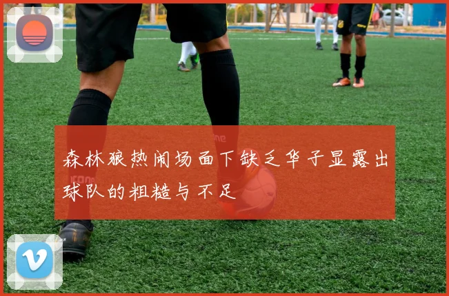 森林狼热闹场面下缺乏华子显露出球队的粗糙与不足